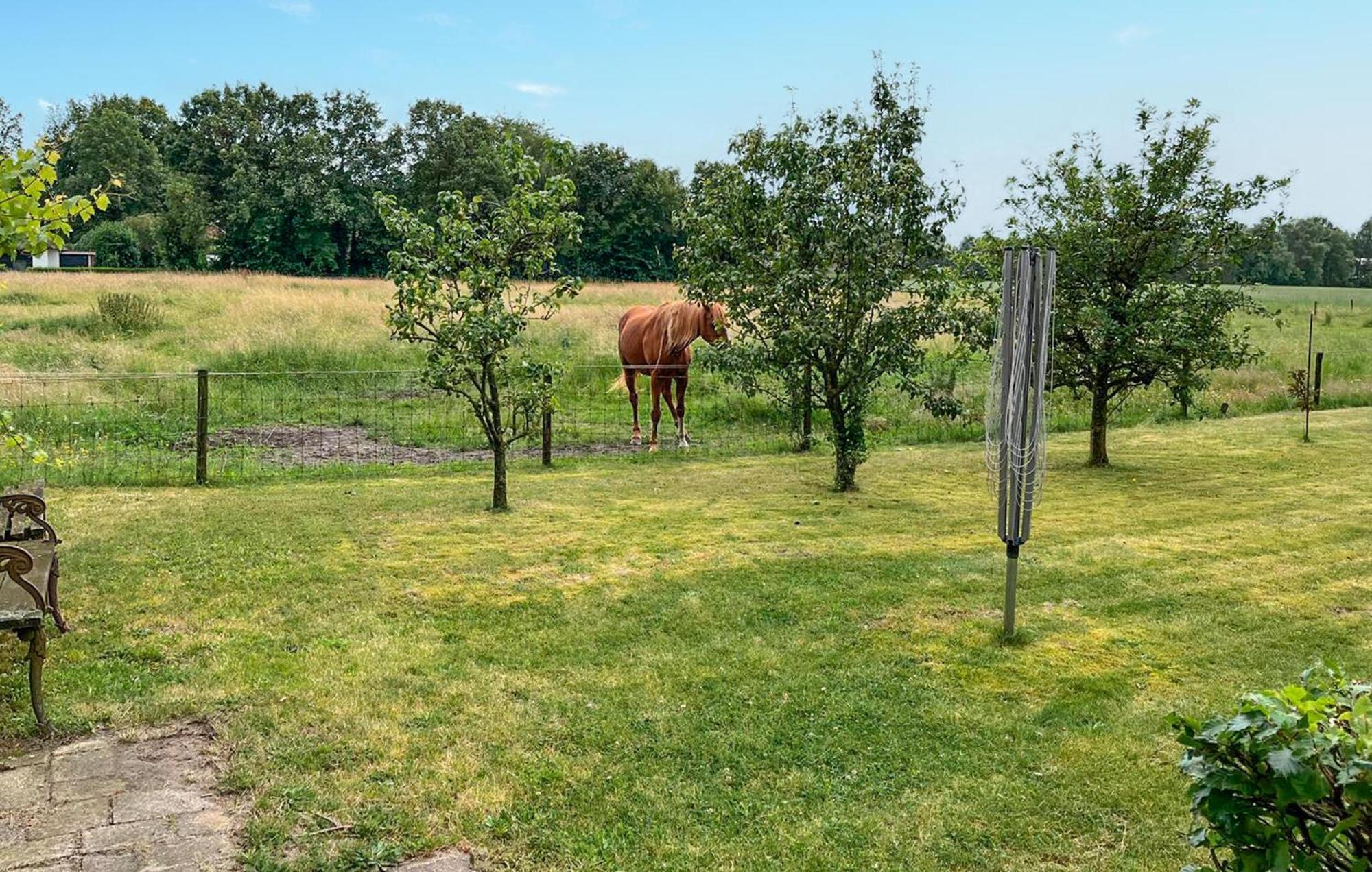 Dorsvloer Villa De Moer Eksteriør billede